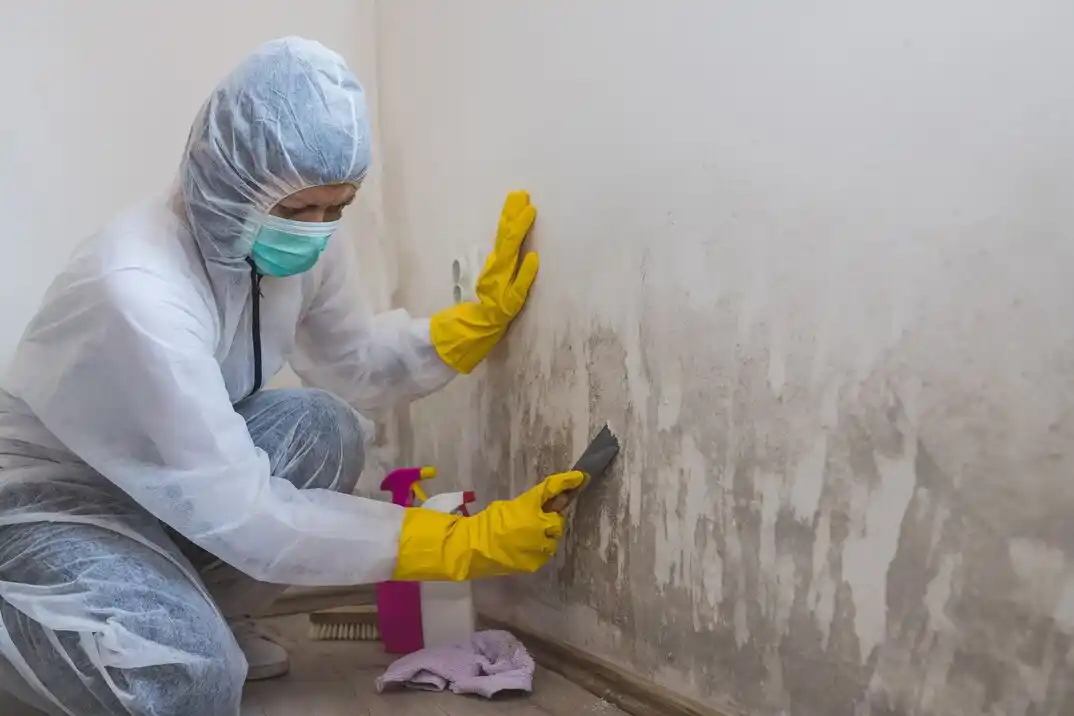 water damage restoration service Hill And Dale